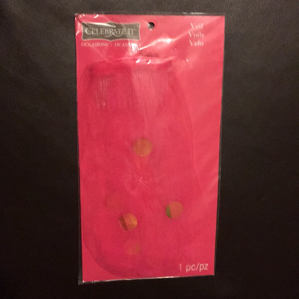 Bachelorette party veil